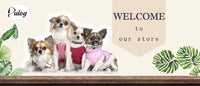 ACESSÓRIOS-Coleira refletiva para cães, identificação personalizada, fivela, gravação gratuita, coleira acolchoada macia, ajustável para cães pequenos, médios e grandes