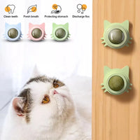 BRINQUEDOS-1 peça de pirulito de catnip para gatos, petisco de parede com design para cuidados dentários, hálito fresco, bola energética para proteção estomacal, suprimentos para animais de estimação