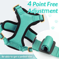 ACESSÓRIOS-Coleira e guia para gatos para caminhada, coletes ajustáveis e macios à prova de fuga para gatos, EasyControl
