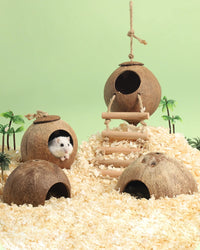 CAMINHAS-Casa de hamster resistente a mordidas, gaiolas de coco naturais para animais de estimação pequenos, esconderijo para porquinhos-da-índia, casa de madeira para hamster, suprimentos para animais de estimação