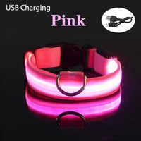 ACESSÓRIOS-Coleira de cachorro com LED e carregamento USB, anti-perda, segurança noturna, luz luminosa, ajustável, de nylon, para animais de estimação, coleiras brilhantes