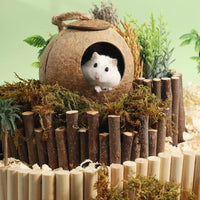 CAMINHAS-Casa de hamster resistente a mordidas, gaiolas de coco naturais para animais de estimação pequenos, esconderijo para porquinhos-da-índia, casa de madeira para hamster, suprimentos para animais de estimação