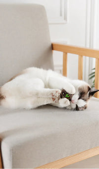 BRINQUEDOS-Bola de brinquedo para gatos, brinquedo de mastigar para gatinhos, limpa os dentes do gato, vara de matatabi saudável, brinquedo interativo para gatos