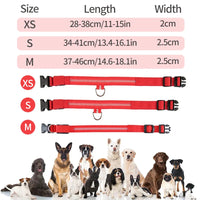 ACESSÓRIOS-Coleira de cachorro com LED e carregamento USB, anti-perda, segurança noturna, luz luminosa, ajustável, de nylon, para animais de estimação, coleiras brilhantes