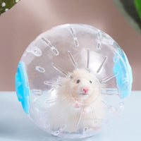 BRINQUEDO-Bola de plástico para esportes ao ar livre, bola de corrida para ratos pequenos, brinquedo para hamster, gerbil, bola de exercício, brinquedo para brincar, suprimentos para animais de estimação pequenos