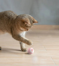 BRINQUEDOS-Bola interativa para gatos, brinquedo inteligente para gatos, bola mágica com rolamento automático para ambientes internos, bola de brinquedo para cães, bola de rolamento que quica e se move automaticamente