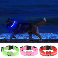 ACESSÓRIOS-Coleira de cachorro com LED e carregamento USB, anti-perda, segurança noturna, luz luminosa, ajustável, de nylon, para animais de estimação, coleiras brilhantes