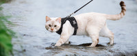 ACESSÓRIOS-Coleira e guia para gatos para caminhada, coletes ajustáveis e macios à prova de fuga para gatos, EasyControl