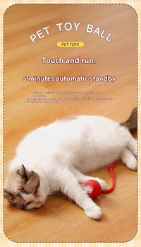 BRINQUEDOS-Bola de brinquedo elétrica para cachorro 2025, bola rolante automática, recarregável, brinquedo de pelúcia interativo para treinamento de cães e gatos