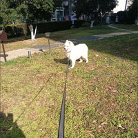 ACESSÓRIOS-Coleira retrátil automática para cães de 8/5 m, grande, médio e pequeno, com corda de tração em nylon, para pastor alemão