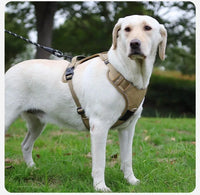 ACESSÓRIOS-Conjunto de arnês para cães com suporte para etiqueta de ar e guia - Conjunto de arnês e guia para cães Oxford respirável premium, durável e refletivot