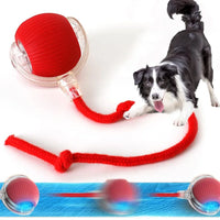 BRINQUEDOS-Bola de brinquedo elétrica para cachorro 2025, bola rolante automática, recarregável, brinquedo de pelúcia interativo para treinamento de cães e gatos