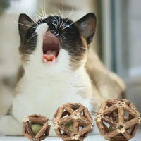BRINQUEDOS-Bola de brinquedo para gatos, brinquedo de mastigar para gatinhos, limpa os dentes do gato, vara de matatabi saudável, brinquedo interativo para gatos