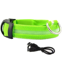ACESSÓRIOS-Coleira de cachorro com LED e carregamento USB, anti-perda, segurança noturna, luz luminosa, ajustável, de nylon, para animais de estimação, coleiras brilhantes