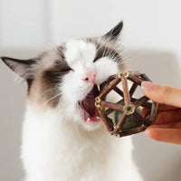 BRINQUEDOS-Bola de brinquedo para gatos, brinquedo de mastigar para gatinhos, limpa os dentes do gato, vara de matatabi saudável, brinquedo interativo para gatos
