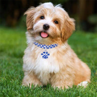ACESSÓRIOS-Colar de corrente estendida de liga durável para animais de estimação de zircônia brilhante, colar para cães e gatos, presentes de festa rosa, colar para cães e gatos