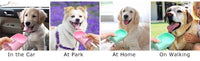 HIGIENE-Garrafa de água portátil para cães pequenos e grandes, tigelas à prova de vazamento para caminhada ao ar livre, suprimentos para chihuahua e buldogue francês