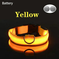 ACESSÓRIOS-Coleira de cachorro com LED e carregamento USB, anti-perda, segurança noturna, luz luminosa, ajustável, de nylon, para animais de estimação, coleiras brilhantes