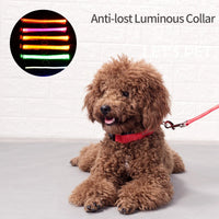 ACESSÓRIOS-Coleira de cachorro com LED e carregamento USB, anti-perda, segurança noturna, luz luminosa, ajustável, de nylon, para animais de estimação, coleiras brilhantes