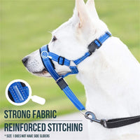 ACESSÓRIOS-Coleira de treinamento criativa para cães Halti, coleira de treinamento suave para cães, arnês de nylon, arnês de segurança para todas as estações, arnês útil para cãest