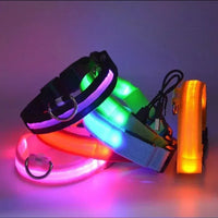 ACESSÓRIOS-Coleira de cachorro com LED e carregamento USB, anti-perda, segurança noturna, luz luminosa, ajustável, de nylon, para animais de estimação, coleiras brilhantes