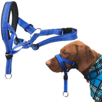 ACESSÓRIOS-Coleira de treinamento criativa para cães Halti, coleira de treinamento suave para cães, arnês de nylon, arnês de segurança para todas as estações, arnês útil para cãest