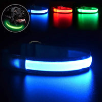 ACESSÓRIOS-Coleira de cachorro com LED e carregamento USB, anti-perda, segurança noturna, luz luminosa, ajustável, de nylon, para animais de estimação, coleiras brilhantes