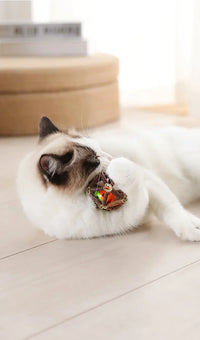 BRINQUEDOS-Bola de brinquedo para gatos, brinquedo de mastigar para gatinhos, limpa os dentes do gato, vara de matatabi saudável, brinquedo interativo para gatos