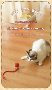 BRINQUEDOS-Bola de brinquedo elétrica para cachorro 2025, bola rolante automática, recarregável, brinquedo de pelúcia interativo para treinamento de cães e gatos