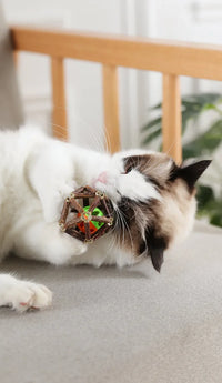 BRINQUEDOS-Bola de brinquedo para gatos, brinquedo de mastigar para gatinhos, limpa os dentes do gato, vara de matatabi saudável, brinquedo interativo para gatos