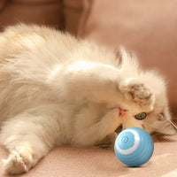BRINQUEDOS-Bola interativa para gatos, brinquedo inteligente para gatos, bola mágica com rolamento automático para ambientes internos, bola de brinquedo para cães, bola de rolamento que quica e se move automaticamente
