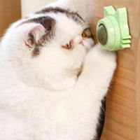 BRINQUEDOS-1 peça de pirulito de catnip para gatos, petisco de parede com design para cuidados dentários, hálito fresco, bola energética para proteção estomacal, suprimentos para animais de estimação