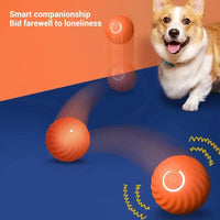 Bola de brinquedo para cachorro, bola automática de movimento e rolamento, USB, brinquedo interativo inteligente para cachorro, bola de mastigar