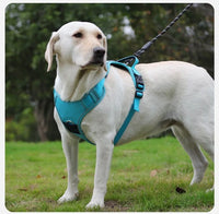 ACESSÓRIOS-Conjunto de arnês para cães com suporte para etiqueta de ar e guia - Conjunto de arnês e guia para cães Oxford respirável premium, durável e refletivot