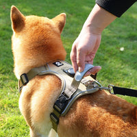 ACESSÓRIOS-Conjunto de arnês para cães com suporte para etiqueta de ar e guia - Conjunto de arnês e guia para cães Oxford respirável premium, durável e refletivot