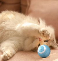 BRINQUEDOS-Bola interativa para gatos, brinquedo inteligente para gatos, bola mágica com rolamento automático para ambientes internos, bola de brinquedo para cães, bola de rolamento que quica e se move automaticamente