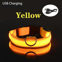 ACESSÓRIOS-Coleira de cachorro com LED e carregamento USB, anti-perda, segurança noturna, luz luminosa, ajustável, de nylon, para animais de estimação, coleiras brilhantes