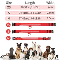 ACESSÓRIOS-Coleira de cachorro com LED e carregamento USB, anti-perda, segurança noturna, luz luminosa, ajustável, de nylon, para animais de estimação, coleiras brilhantes