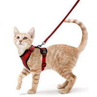 ACESSÓRIOS-Coleira e guia para gatos para caminhada, coletes ajustáveis e macios à prova de fuga para gatos, EasyControl