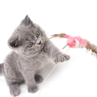 BRINQUEDOS-Automatic Rotating Electric Cat Toy Colorful Butterfly Bird Animal Shape Plastic Funny Kitten Pet Dog Interactive Training Toys