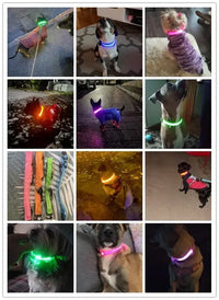 ACESSÓRIOS-Coleira de cachorro com LED e carregamento USB, anti-perda, segurança noturna, luz luminosa, ajustável, de nylon, para animais de estimação, coleiras brilhantes