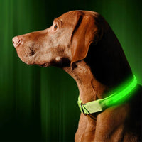 ACESSÓRIOS-Coleira de cachorro com LED e carregamento USB, anti-perda, segurança noturna, luz luminosa, ajustável, de nylon, para animais de estimação, coleiras brilhantes