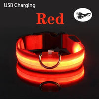 ACESSÓRIOS-Coleira de cachorro com LED e carregamento USB, anti-perda, segurança noturna, luz luminosa, ajustável, de nylon, para animais de estimação, coleiras brilhantes