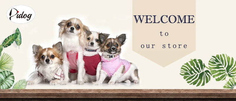 ACESSÓRIOS-Coleira refletiva para cães, identificação personalizada, fivela, gravação gratuita, coleira acolchoada macia, ajustável para cães pequenos, médios e grandes