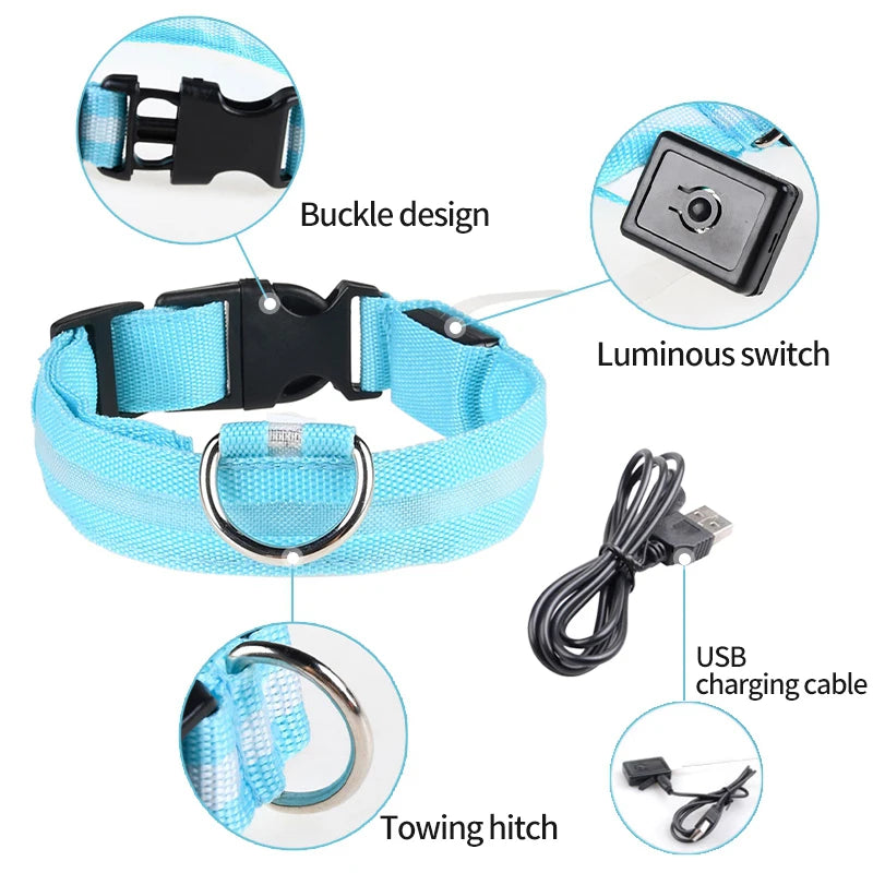 ACESSÓRIOS-Coleira de cachorro com LED e carregamento USB, anti-perda, segurança noturna, luz luminosa, ajustável, de nylon, para animais de estimação, coleiras brilhantes