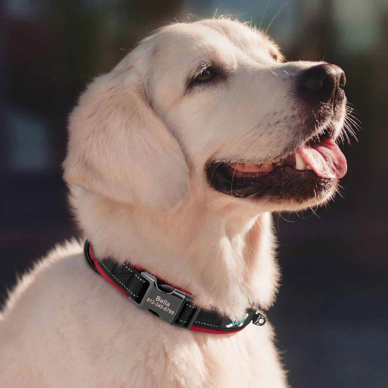 ACESSÓRIOS-Coleira refletiva para cães, identificação personalizada, fivela, gravação gratuita, coleira acolchoada macia, ajustável para cães pequenos, médios e grandes