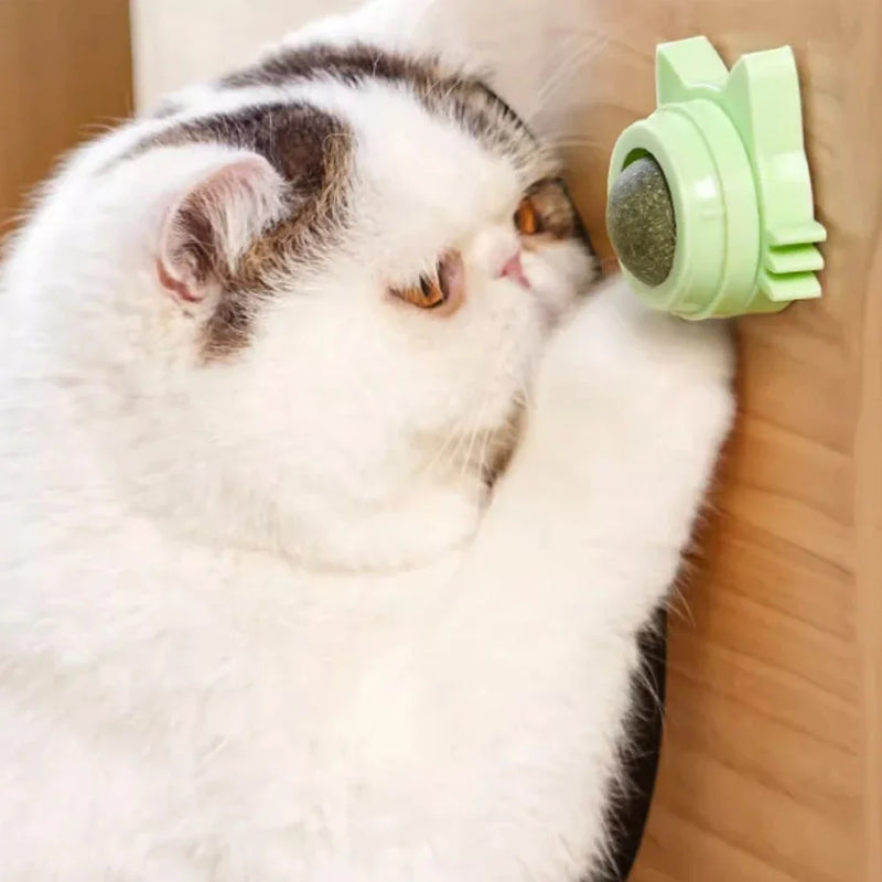 BRINQUEDOS-1 peça de pirulito de catnip para gatos, petisco de parede com design para cuidados dentários, hálito fresco, bola energética para proteção estomacal, suprimentos para animais de estimação