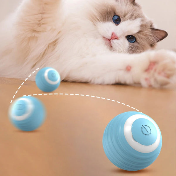 BRINQUEDOS-Bola interativa para gatos, brinquedo inteligente para gatos, bola mágica com rolamento automático para ambientes internos, bola de brinquedo para cães, bola de rolamento que quica e se move automaticamente