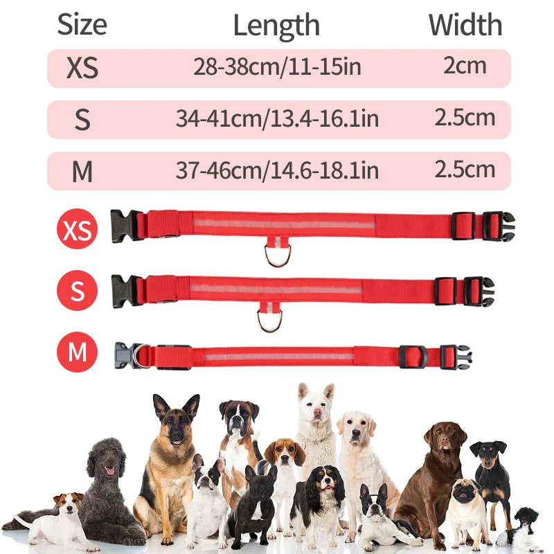 ACESSÓRIOS-Coleira de cachorro com LED e carregamento USB, anti-perda, segurança noturna, luz luminosa, ajustável, de nylon, para animais de estimação, coleiras brilhantes