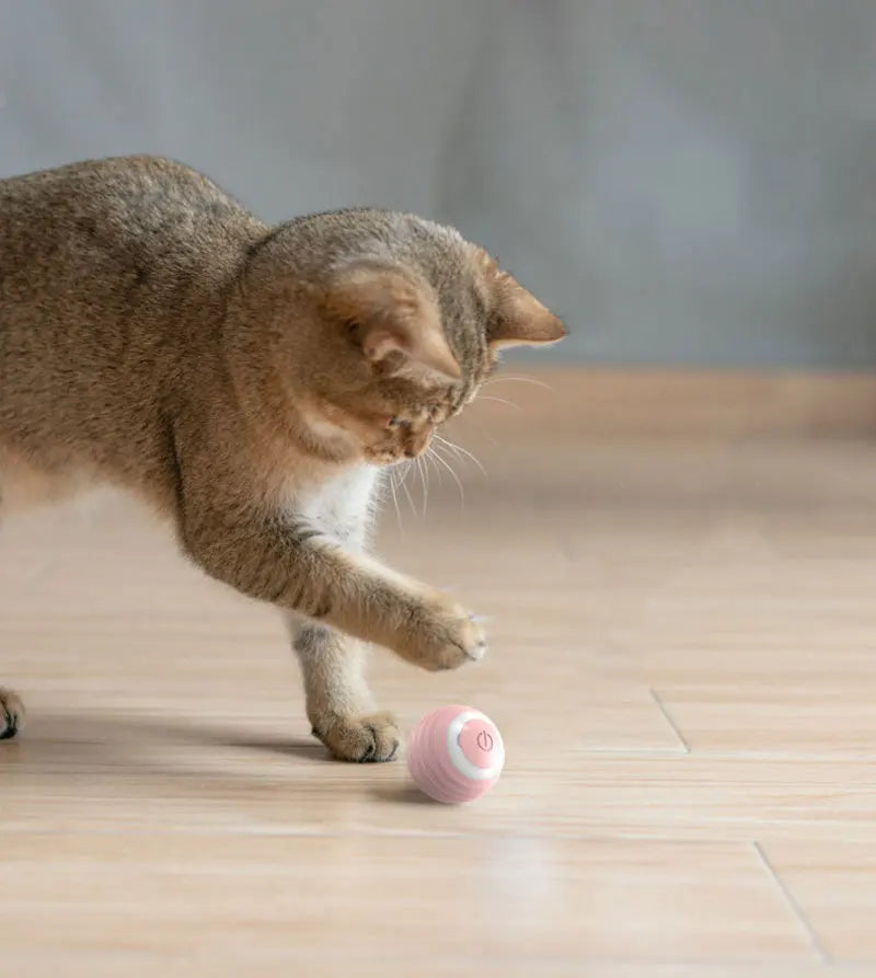 BRINQUEDOS-Bola interativa para gatos, brinquedo inteligente para gatos, bola mágica com rolamento automático para ambientes internos, bola de brinquedo para cães, bola de rolamento que quica e se move automaticamente